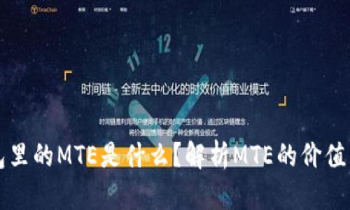 TP钱包里的MTE是什么？解析MTE的价值与应用